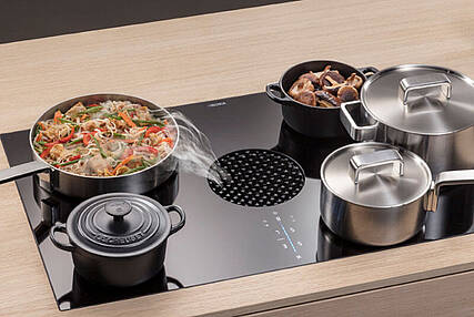 Bora Muldenlüfter Downdraft Abzug Beispiel 1