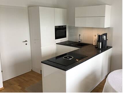 symbolbild-kuechenzeile-mit-halbinsel-fuer-kleine-kueche